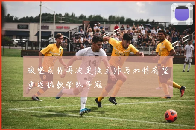 狼堡或将再次更换主帅马加特有望重返执教带队争冠