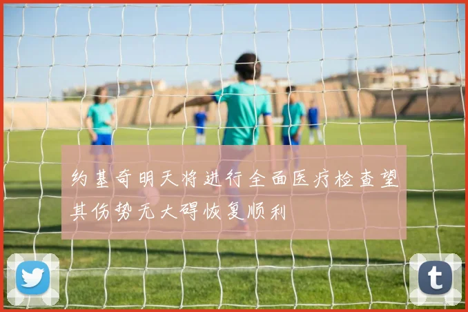 约基奇明天将进行全面医疗检查望其伤势无大碍恢复顺利