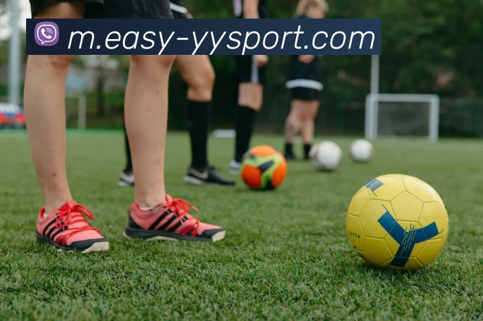 易游体育发展历程